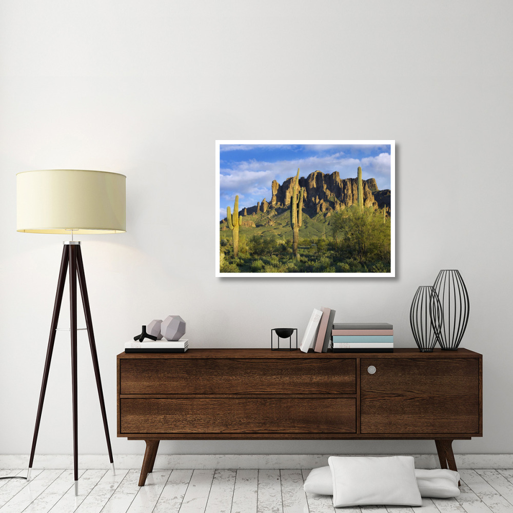 Saguaro cacti and Superstition Mountains at Lost Dutchman State Park, Arizona-Paper Art-42&quotx32"