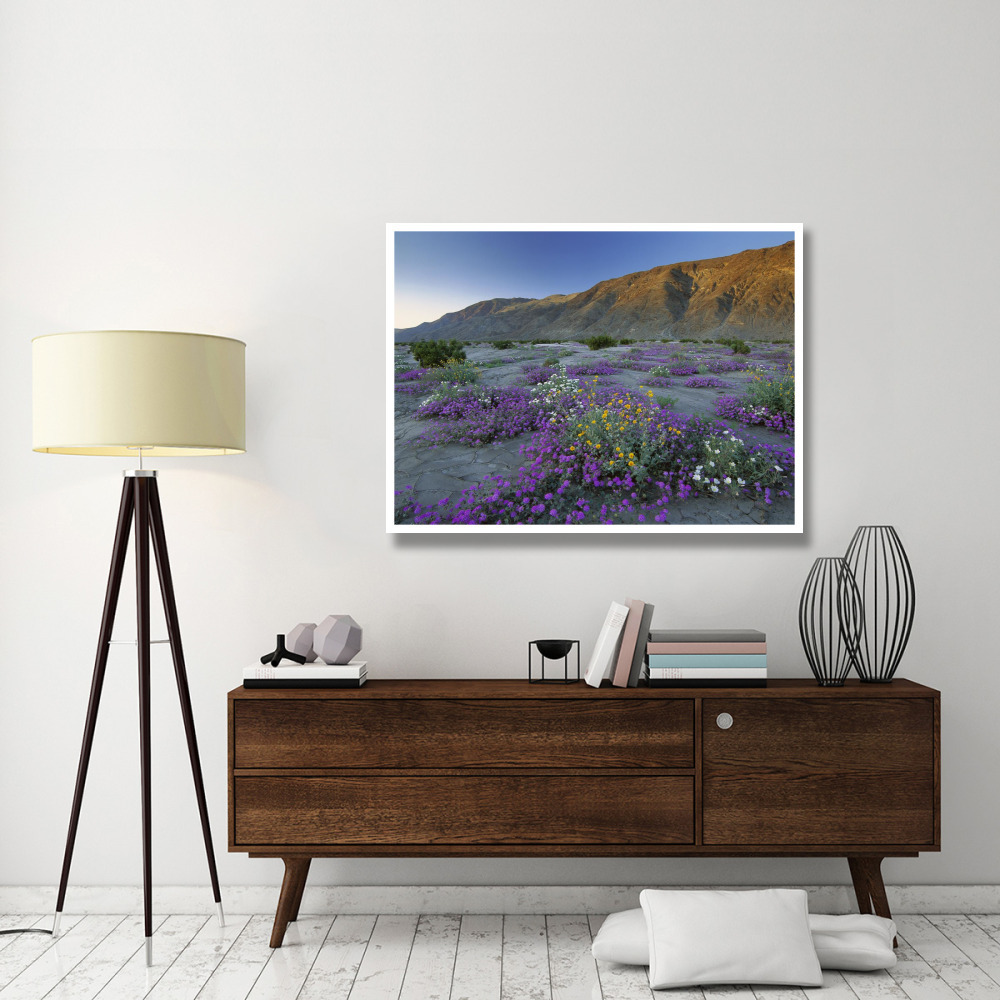 Sand Verbena and Desert Sunflowers Anza-Borrego Desert State Park, California-Paper Art-50&quotx38"