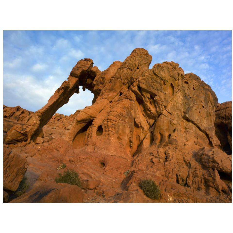Elephant Rock, a unique sandstone formation, Valley of Fire State Park, Nevada-Paper Art-18&quotx14"