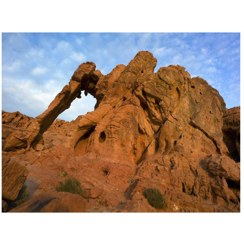 Elephant Rock, a unique sandstone formation, Valley of Fire State Park, Nevada-Paper Art-26&quotx20"