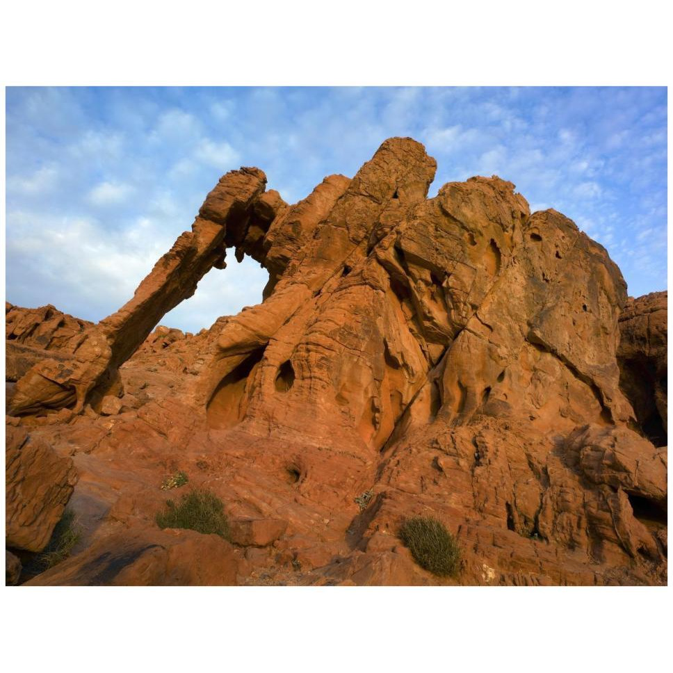 Elephant Rock, a unique sandstone formation, Valley of Fire State Park, Nevada-Paper Art-42&quotx32"