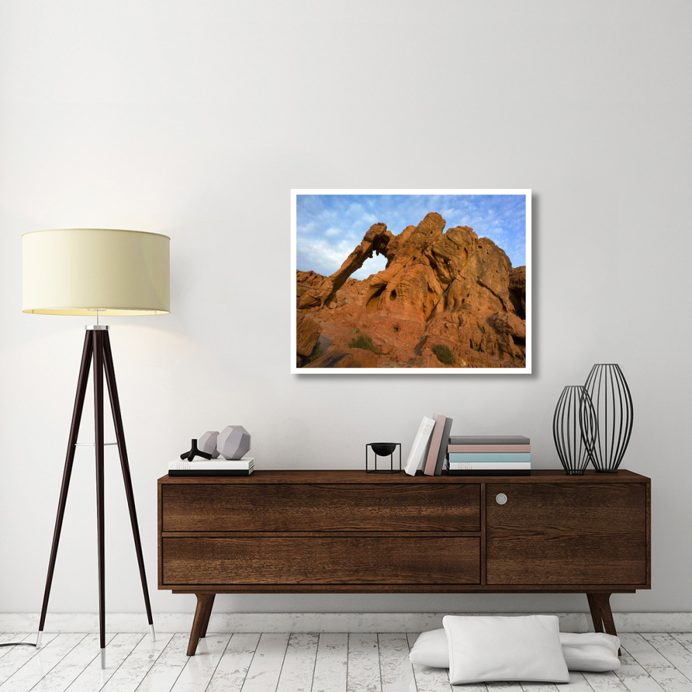 Elephant Rock, a unique sandstone formation, Valley of Fire State Park, Nevada-Paper Art-42&quotx32"