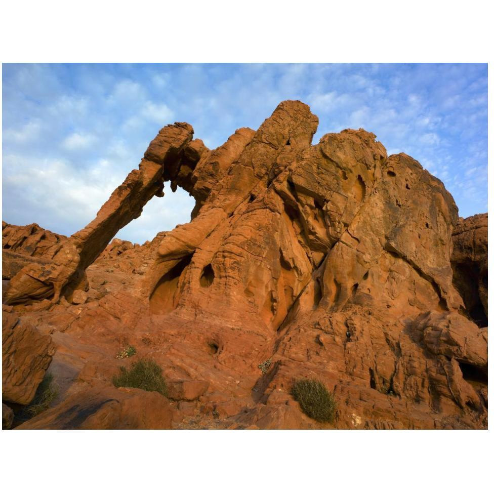 Elephant Rock, a unique sandstone formation, Valley of Fire State Park, Nevada-Paper Art-50&quotx38"