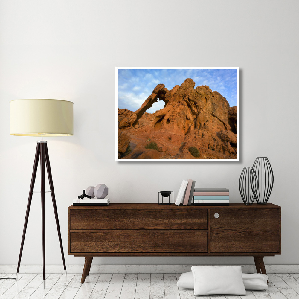 Elephant Rock, a unique sandstone formation, Valley of Fire State Park, Nevada-Paper Art-50&quotx38"