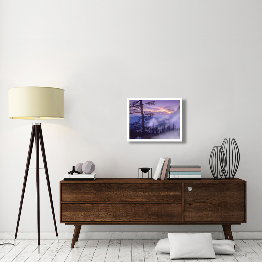 Rolling fog on Clingman's Dome, Great Smoky Mountains National Park, Tennessee-Paper Art-26&quotx20"