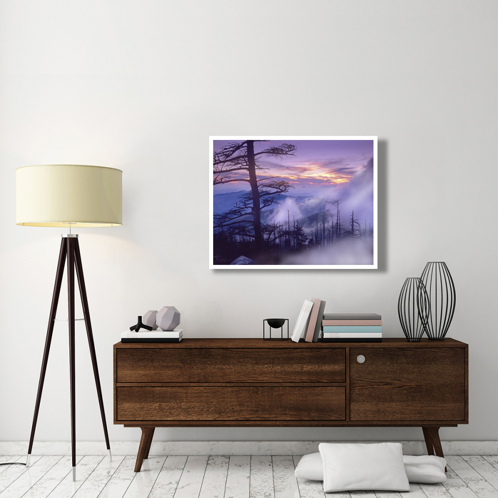 Rolling fog on Clingman's Dome, Great Smoky Mountains National Park, Tennessee-Paper Art-42&quotx32"