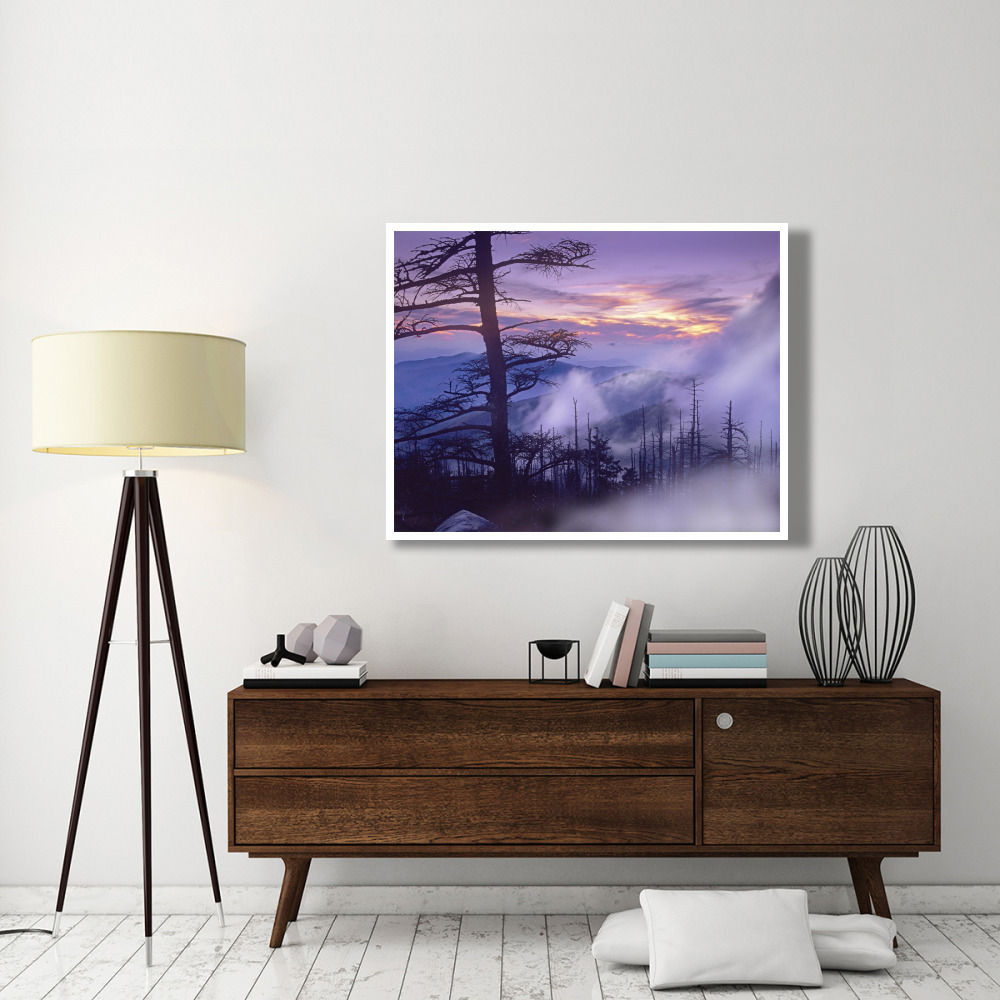 Rolling fog on Clingman's Dome, Great Smoky Mountains National Park, Tennessee-Paper Art-50&quotx38"