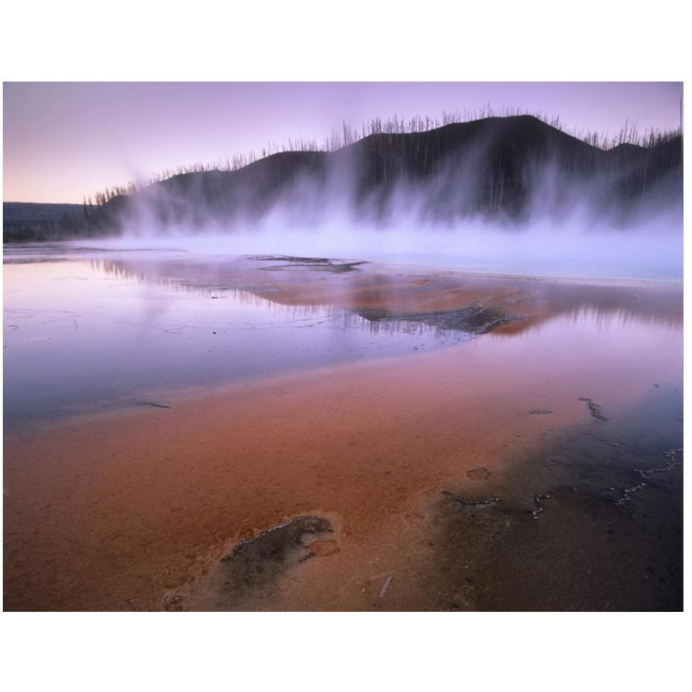 Steaming hot springs at Lower Geyser Basin, Yellowstone National Park, Wyoming-Paper Art-50&quotx38"