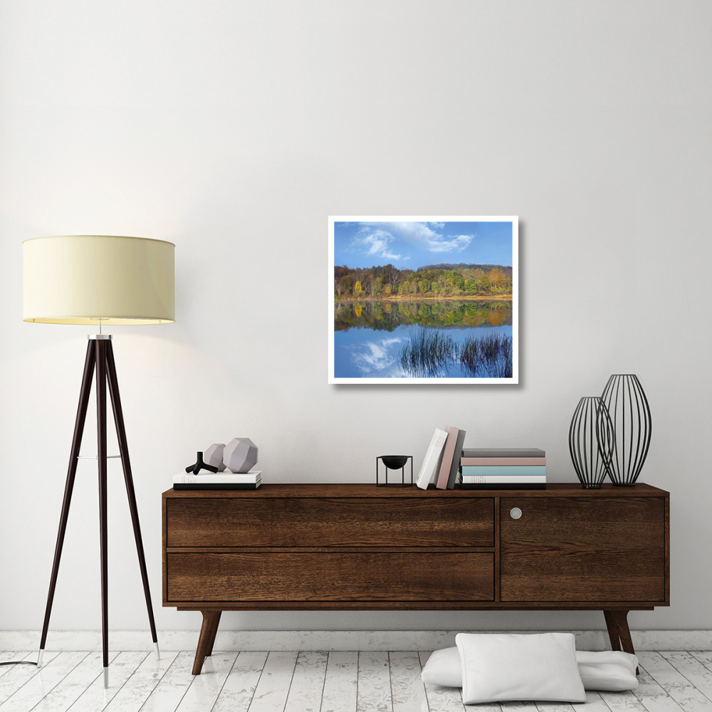 Deciduous forest along Lackawanna Lake, Ricketts Glen State Park, Pennsylvania-Paper Art-32&quotx28.4"