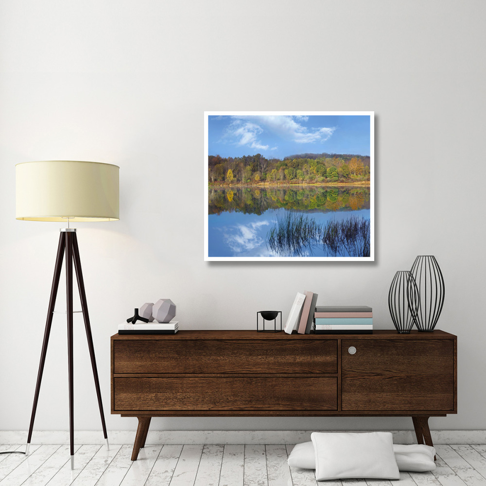 Deciduous forest along Lackawanna Lake, Ricketts Glen State Park, Pennsylvania-Paper Art-42&quotx37.2"