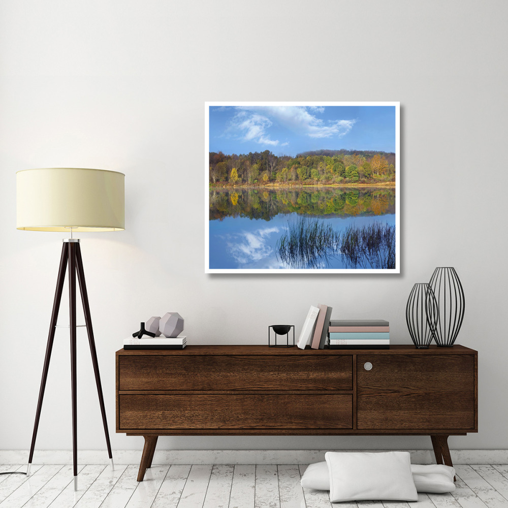 Deciduous forest along Lackawanna Lake, Ricketts Glen State Park, Pennsylvania-Paper Art-46&quotx40.72"