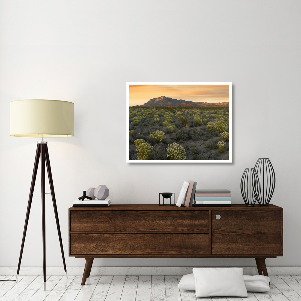Pepperweed meadow beneath El Capitan, Guadalupe Mountains National Park, Texas-Paper Art-42&quotx32"