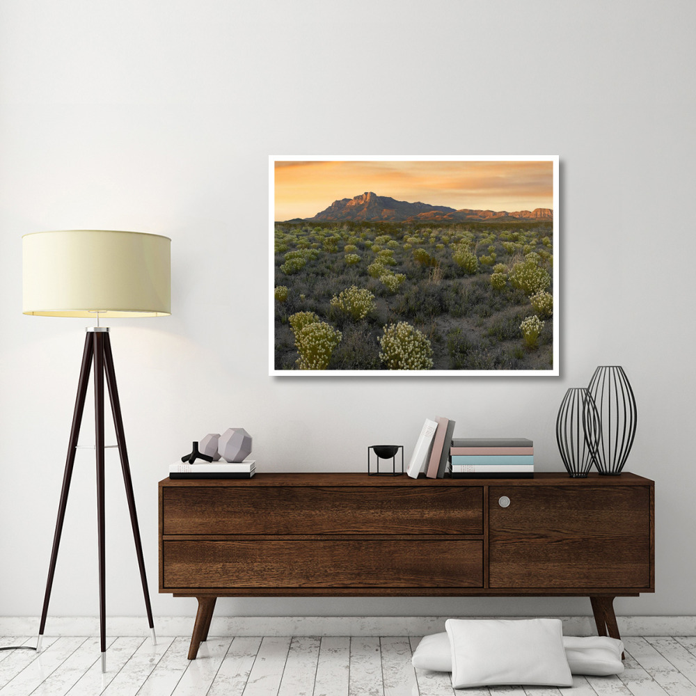Pepperweed meadow beneath El Capitan, Guadalupe Mountains National Park, Texas-Paper Art-50&quotx38"