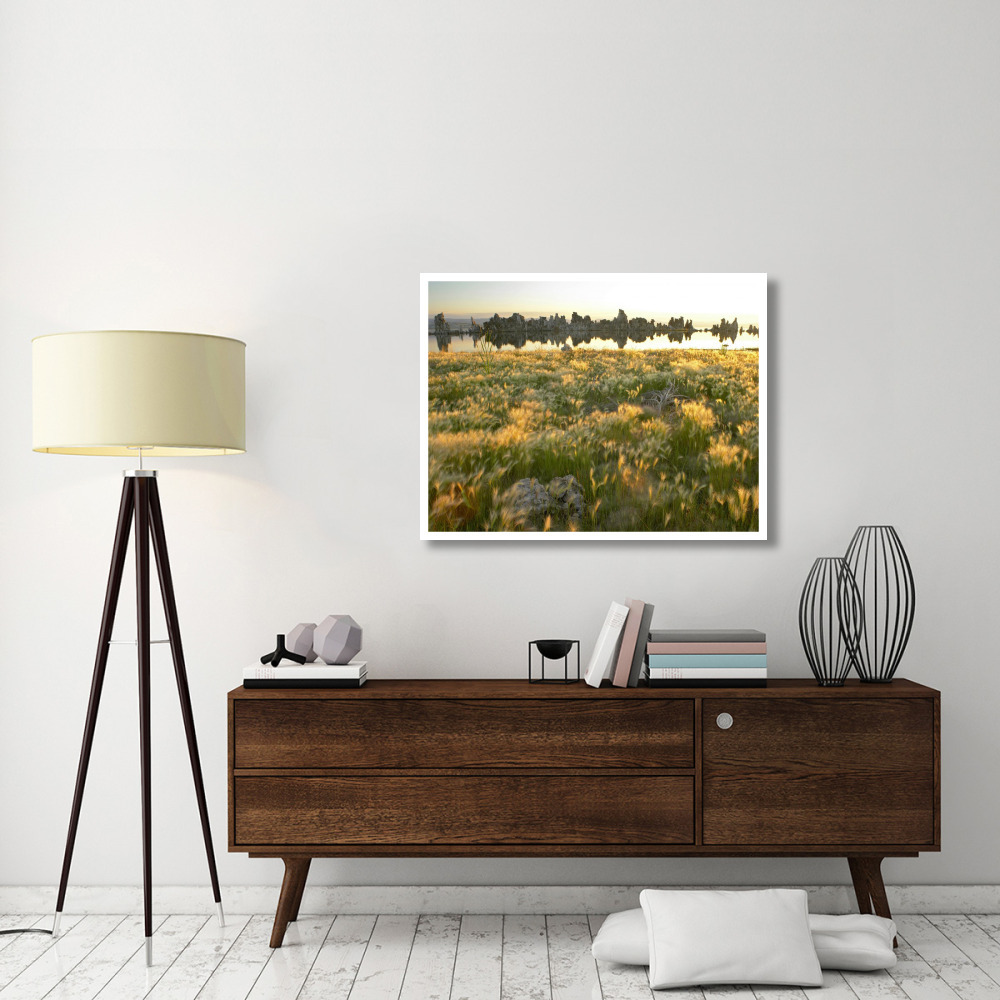 Squirreltail Barley and Tufa Towers silhouetted at dawn, Mono Lake, California-Paper Art-42&quotx32"