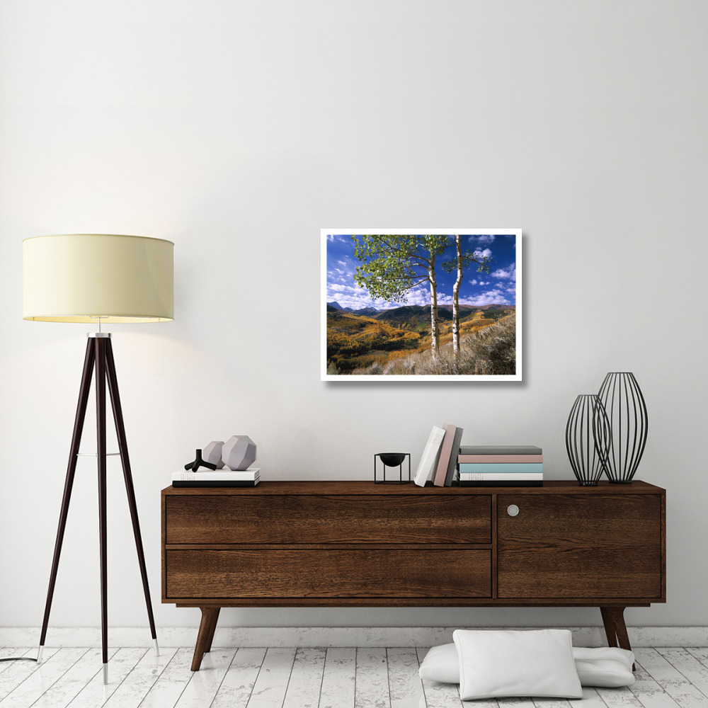 Aspen trees in fall-colors on Elk Mountains, Capitol Creek trailhead, Colorado-Paper Art-34&quotx26"