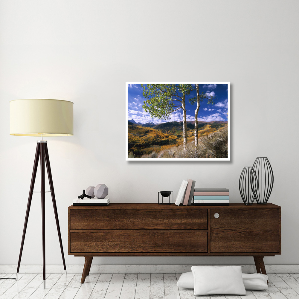 Aspen trees in fall-colors on Elk Mountains, Capitol Creek trailhead, Colorado-Paper Art-42&quotx32"