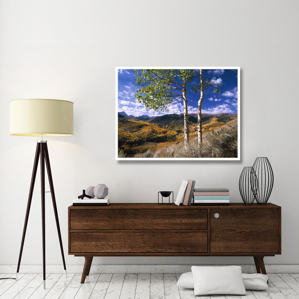 Aspen trees in fall-colors on Elk Mountains, Capitol Creek trailhead, Colorado-Paper Art-50&quotx38"