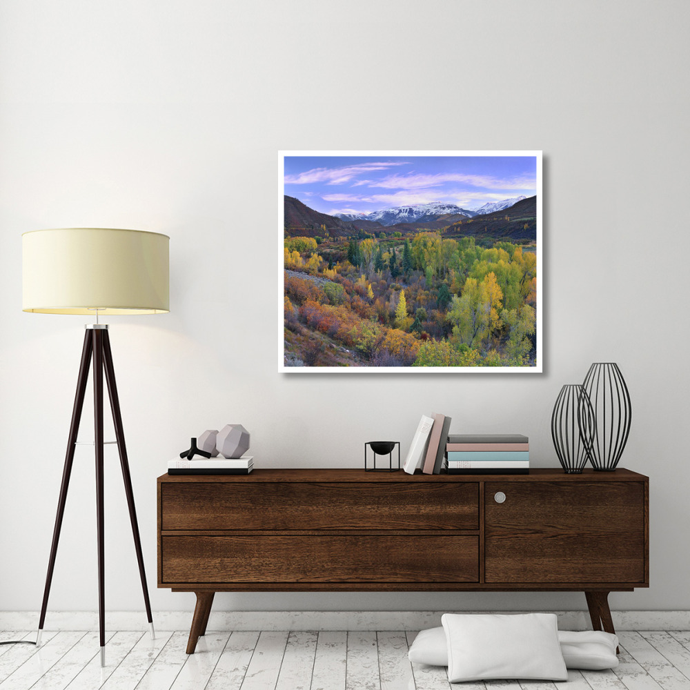 Quaking Aspen forest in autumn, Snowmass Mountain near Quaking Aspen, Colorado-Paper Art-46&quotx38.52"