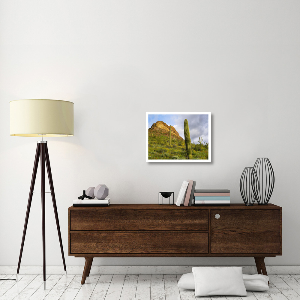 Organ Pipe Cactus Organ Pipe Cactus National Monument, Sonoran Desert, Arizona-Paper Art-26&quotx20"
