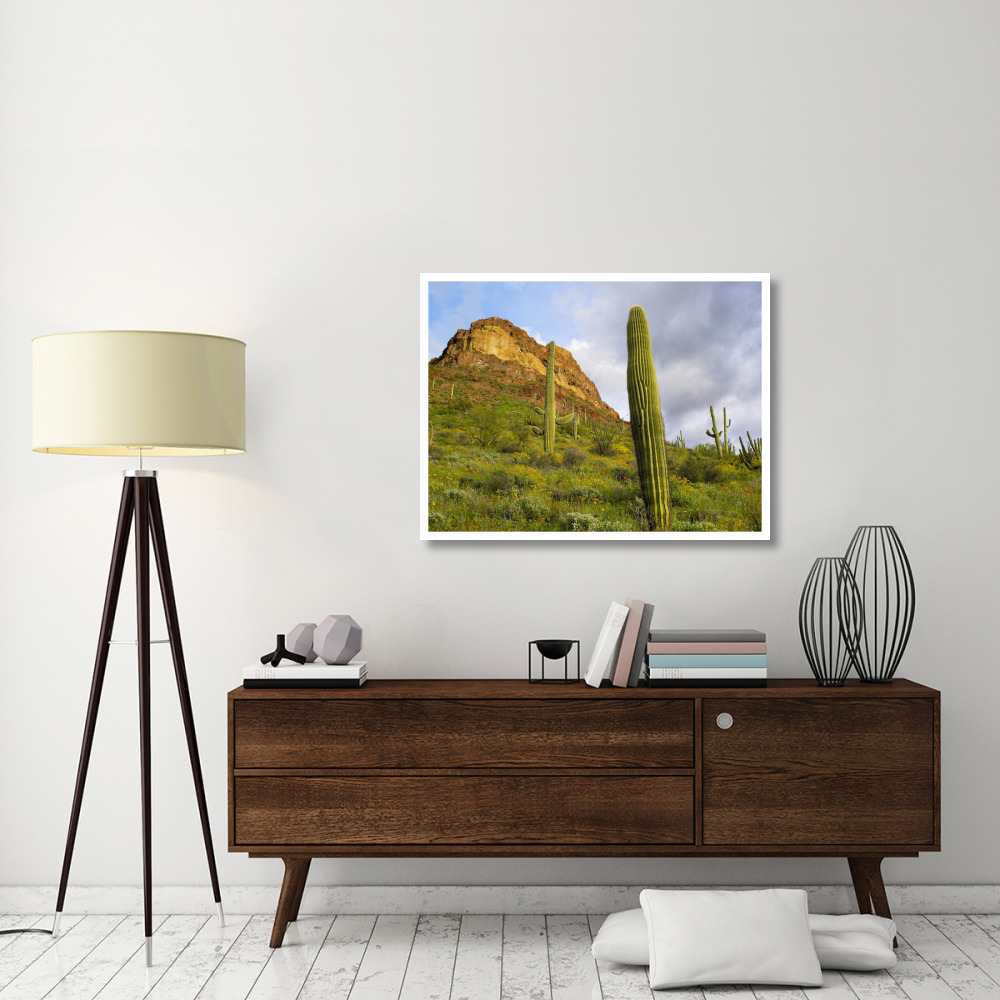 Organ Pipe Cactus Organ Pipe Cactus National Monument, Sonoran Desert, Arizona-Paper Art-42&quotx32"