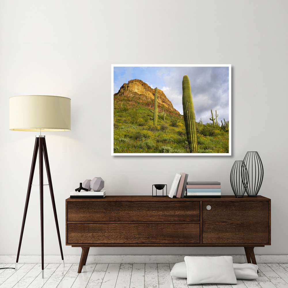 Organ Pipe Cactus Organ Pipe Cactus National Monument, Sonoran Desert, Arizona-Paper Art-50&quotx38"