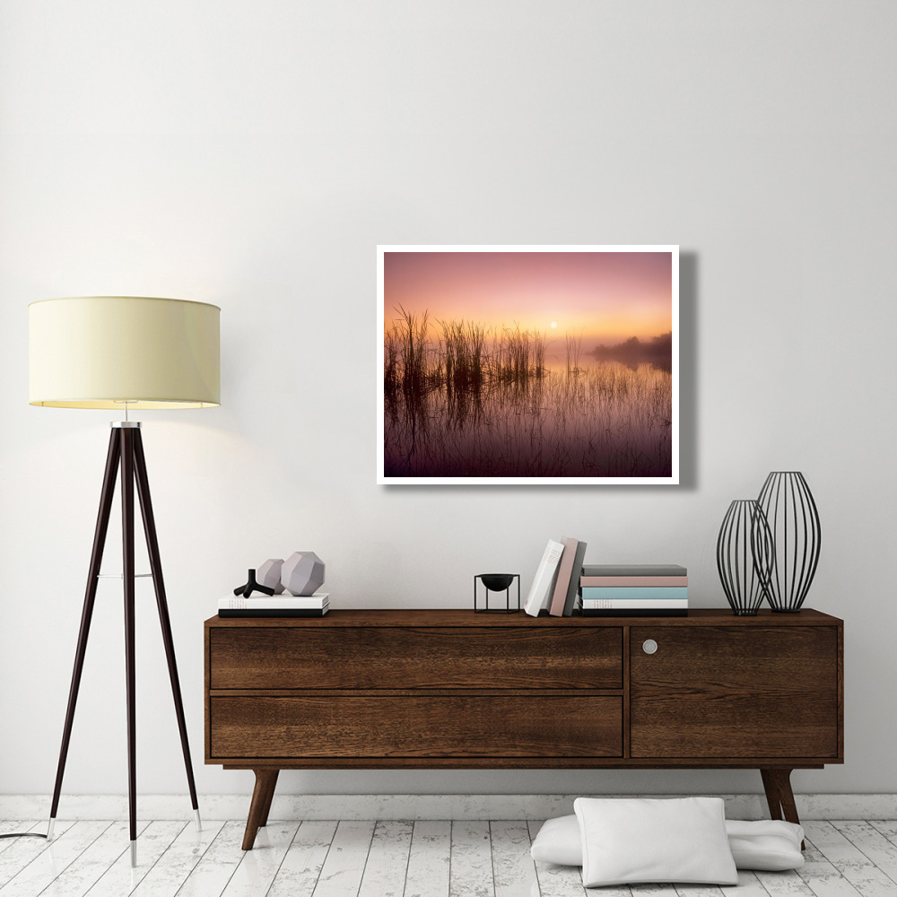 Reeds reflected in Sweet Bay Pond at sunrise, Everglades National Park, Florida-Paper Art-42&quotx32"