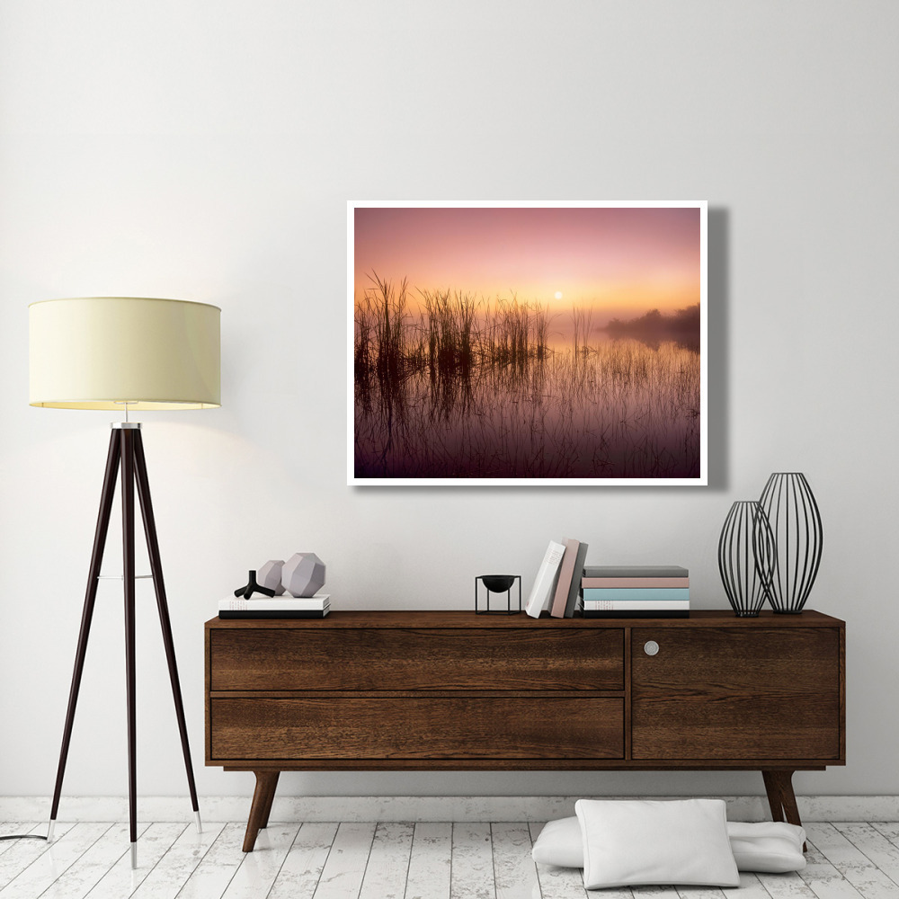 Reeds reflected in Sweet Bay Pond at sunrise, Everglades National Park, Florida-Paper Art-50&quotx38"