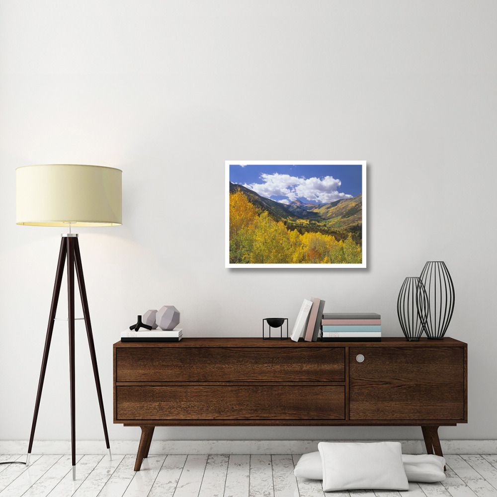 Haystack Mountain with aspen forest, Maroon Bells-Snowmass Wilderness, Colorado-Paper Art-34&quotx26"