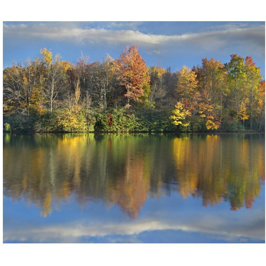 Deciduous forest in autumn along Price Lake, Blue Ridge Parkway, North Carolina-Paper Art-24&quotx20.7"