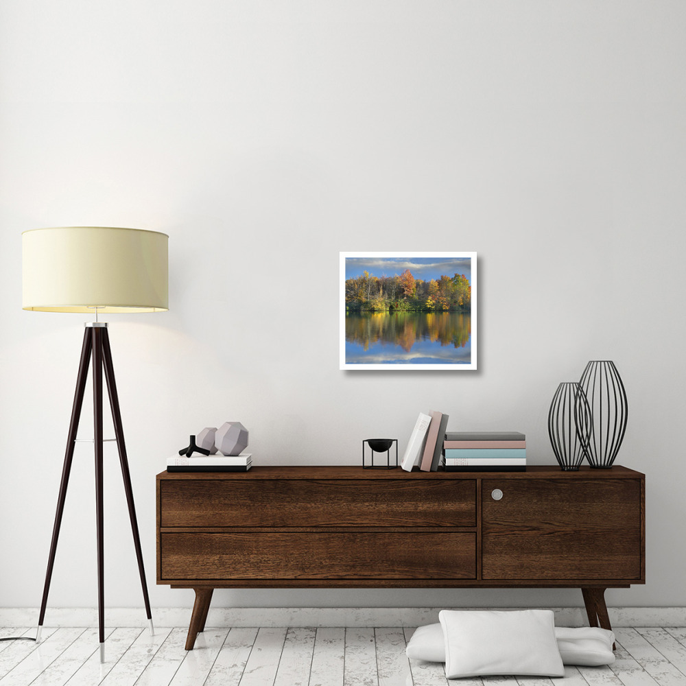 Deciduous forest in autumn along Price Lake, Blue Ridge Parkway, North Carolina-Paper Art-24&quotx20.7"