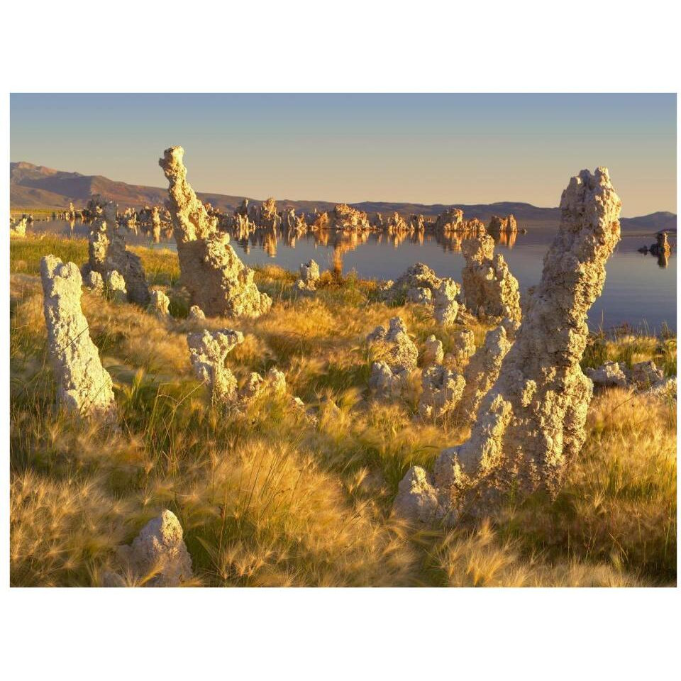 Wind and rain eroded tufa towers amid Squirreltail Barley Mono Lake, California-Paper Art-34&quotx26"