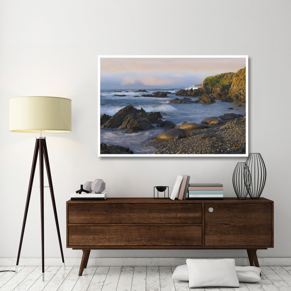 Northern Elephant Seals resting on the beach, Point Piedras Blancas, California-Paper Art-62&quotx42"