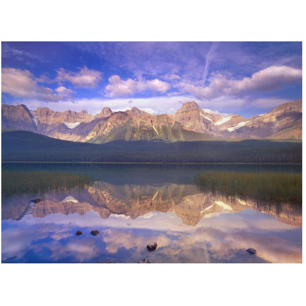 Mount Chephren reflected in Waterfowl Lake, Banff National Park, Alberta, Canada-Paper Art-50&quotx38"