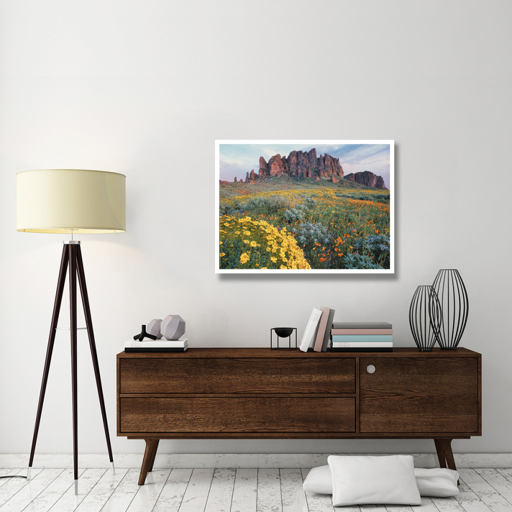 California Brittlebush Lost Dutchman State Park, Superstition Mountains, Arizona-Paper Art-42&quotx32"