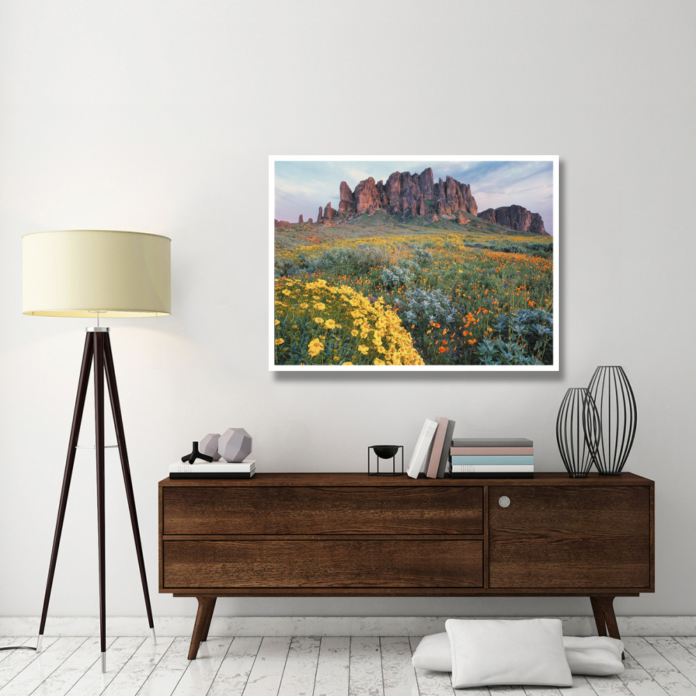 California Brittlebush Lost Dutchman State Park, Superstition Mountains, Arizona-Paper Art-50&quotx38"