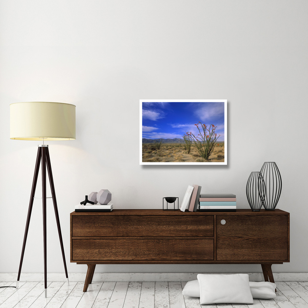 Ocotillo and the Vallecito Mountains, Anza-Borrego Desert State Park, California-Paper Art-34&quotx26"