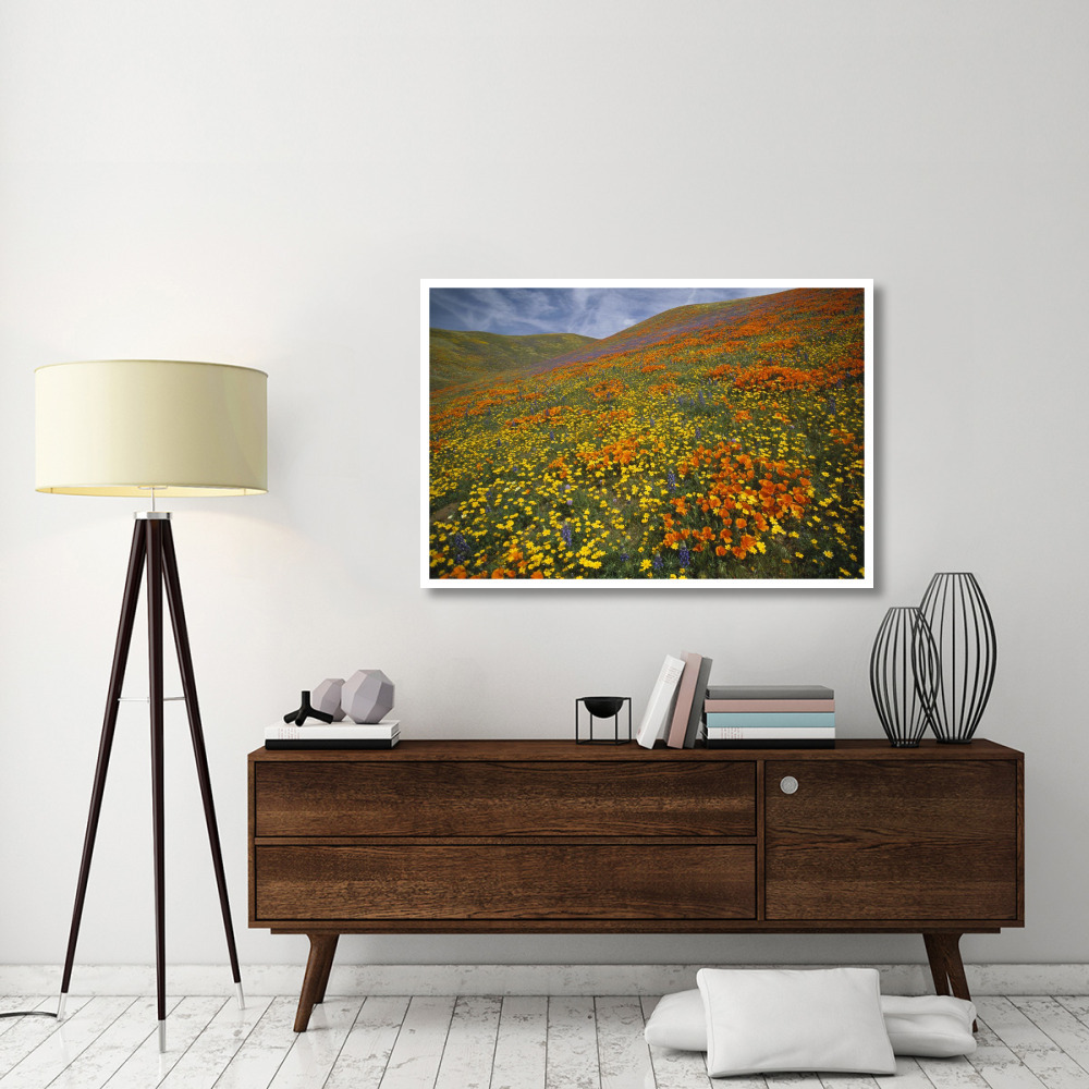 Hills covered with California Poppies and Lupine Tehachapi Mountains, California-Paper Art-50&quotx34"