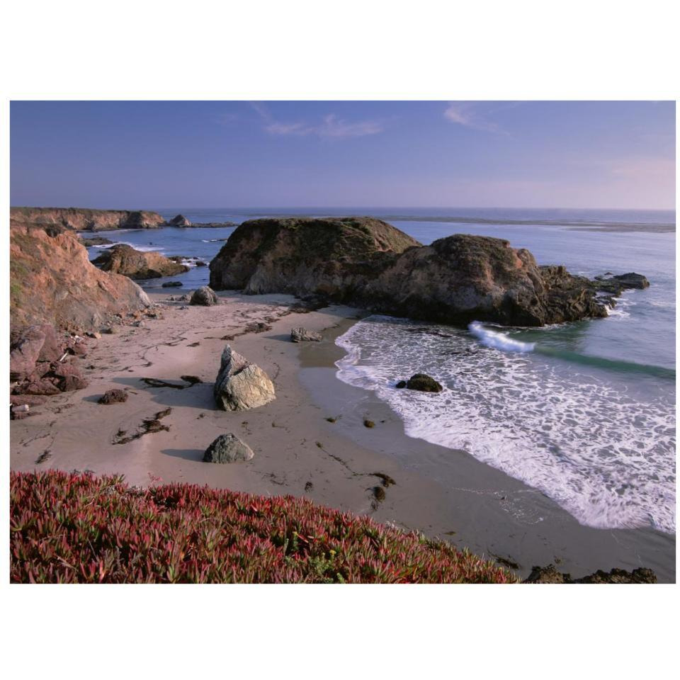 Beach near San Simeon Creek with ice plant in the foreground, Big Sur, California-Paper Art-34&quotx26"