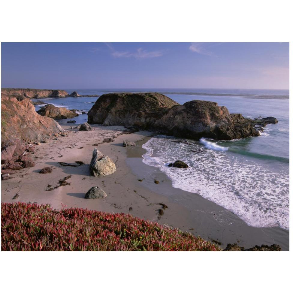 Beach near San Simeon Creek with ice plant in the foreground, Big Sur, California-Paper Art-50&quotx38"