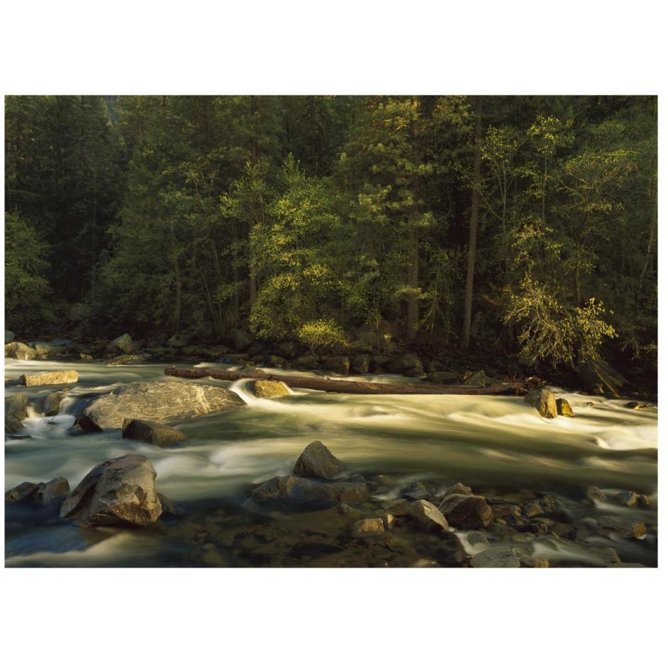 Merced River flowing through the valley floor, Yosemite National Park, California-Paper Art-26&quotx20"
