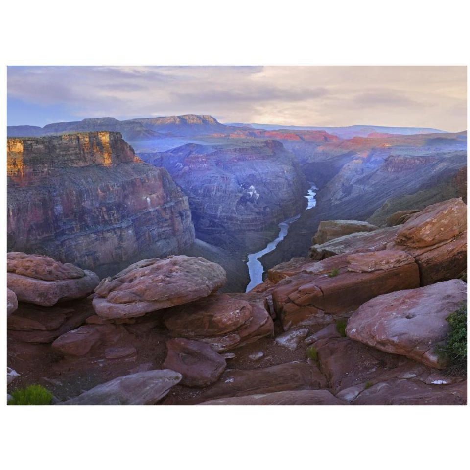 Toroweep Overlook view of the Colorado River, Grand Canyon National Park, Arizona-Paper Art-34&quotx26"