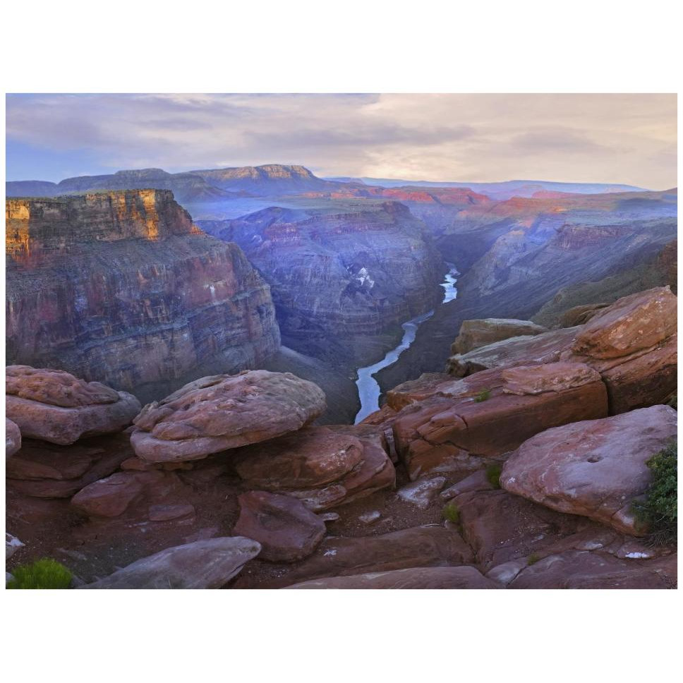 Toroweep Overlook view of the Colorado River, Grand Canyon National Park, Arizona-Paper Art-42&quotx32"