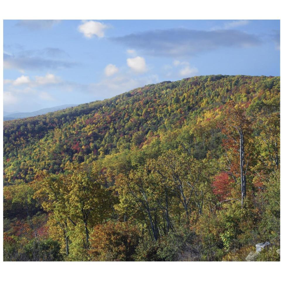 Blue Ridge Range from Moormans River Overlook, Shenandoah National Park, Virginia-Paper Art-38&quotx33.32"