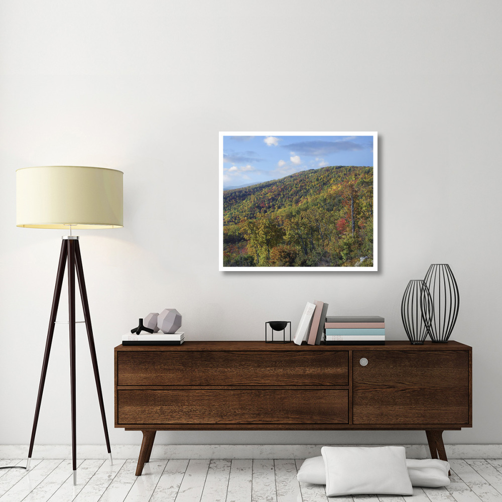 Blue Ridge Range from Moormans River Overlook, Shenandoah National Park, Virginia-Paper Art-38&quotx33.32"