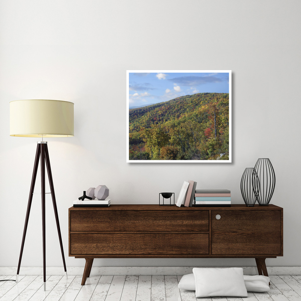 Blue Ridge Range from Moormans River Overlook, Shenandoah National Park, Virginia-Paper Art-42&quotx36.8"