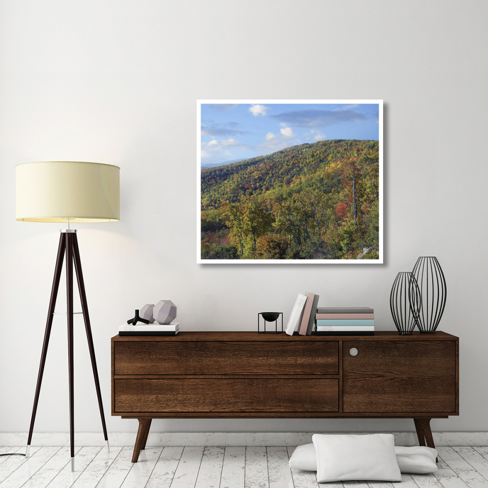 Blue Ridge Range from Moormans River Overlook, Shenandoah National Park, Virginia-Paper Art-46&quotx40.28"