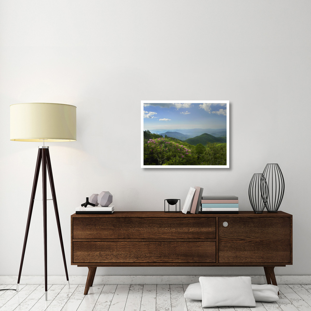 Rhododendron tree flowering at Craggy Gardens, Blue Ridge Parkway, North Carolina-Paper Art-34&quotx26"