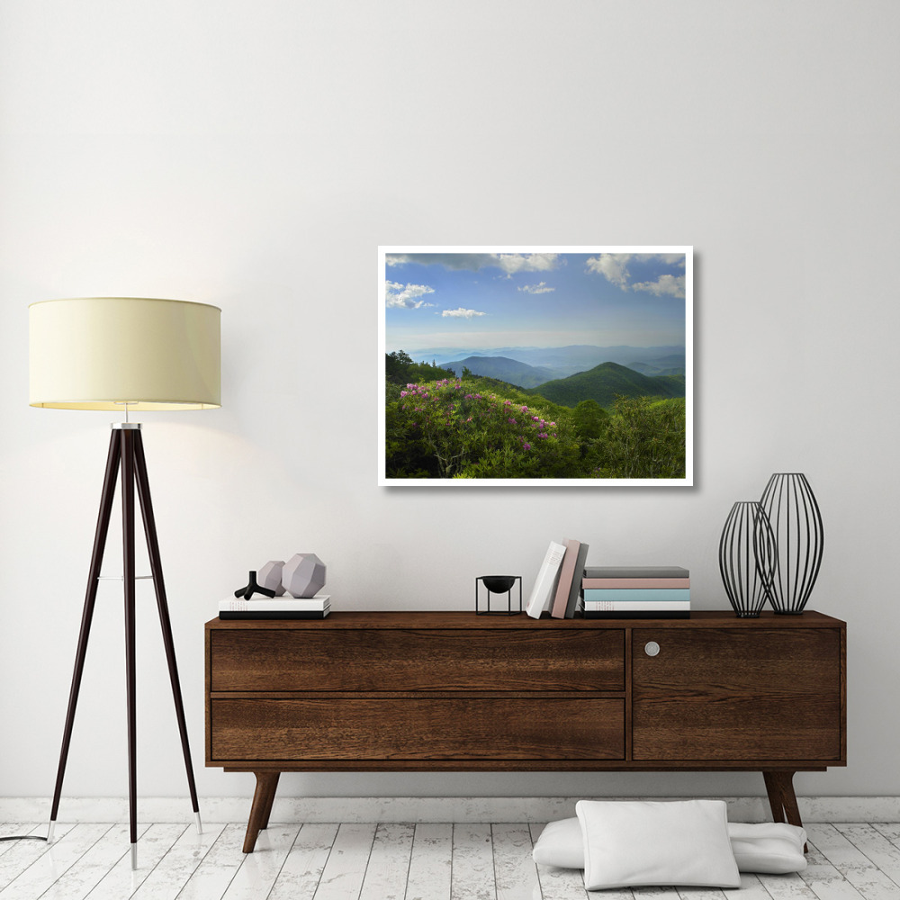 Rhododendron tree flowering at Craggy Gardens, Blue Ridge Parkway, North Carolina-Paper Art-42&quotx32"