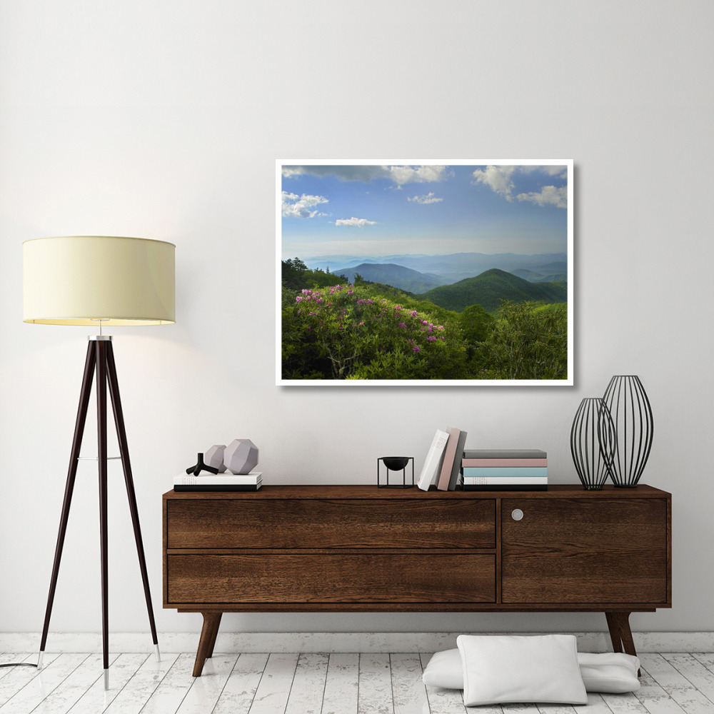 Rhododendron tree flowering at Craggy Gardens, Blue Ridge Parkway, North Carolina-Paper Art-50&quotx38"