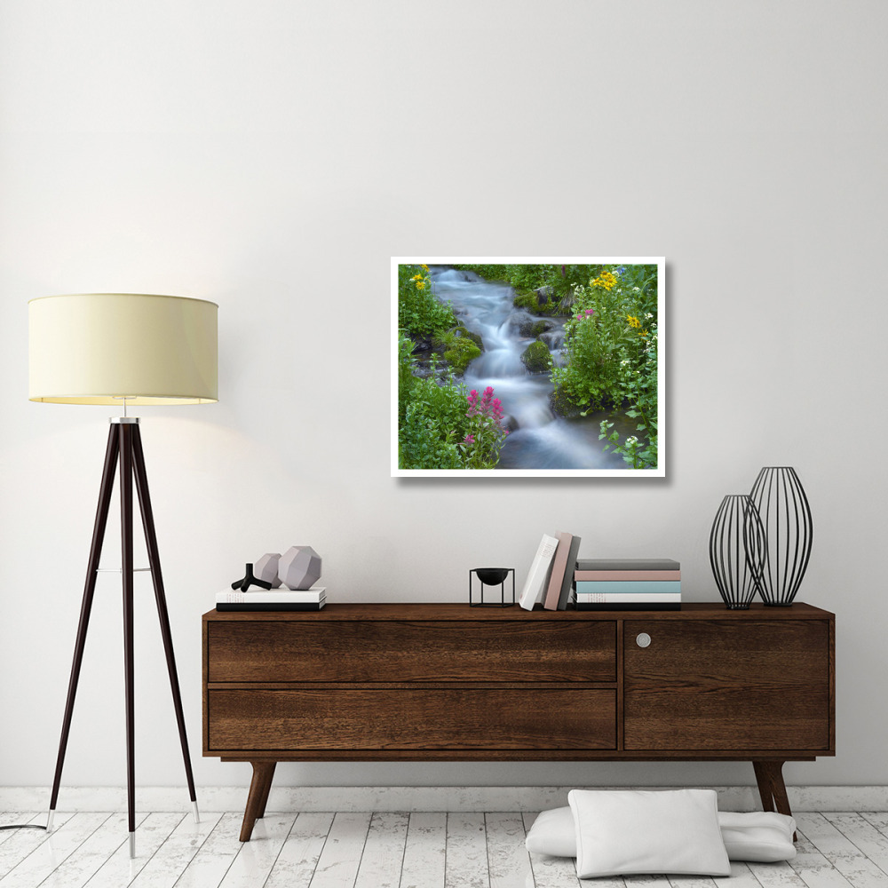 Orange Sneezeweed and Indian Paintbrush beside stream, Yankee Boy Basin, Colorado-Paper Art-37&quotx30"